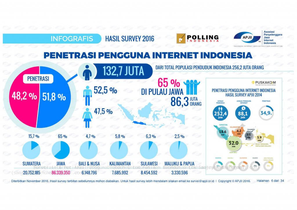 Cara Bisnis Online: Penetrasi Internet Indonesia