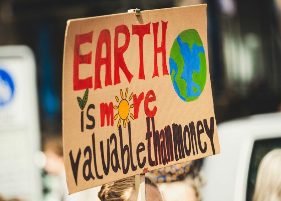 a protester holding a sign saying "earth is more valuable than money"