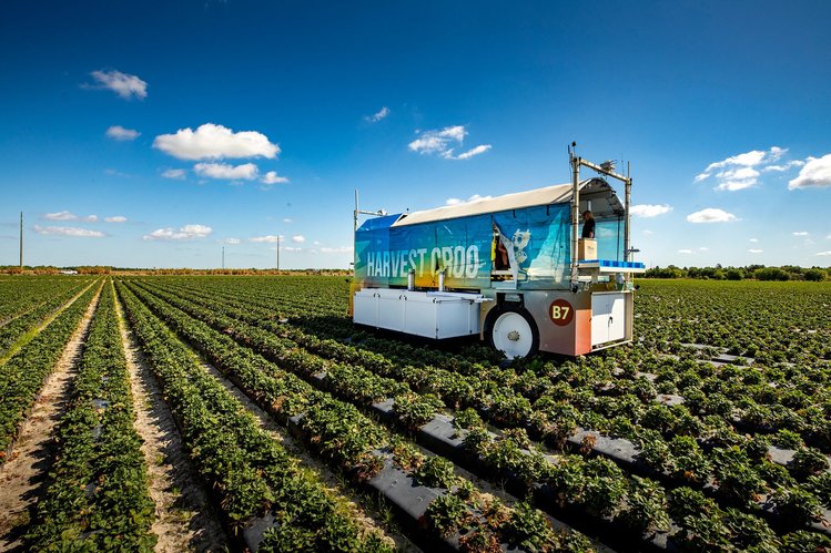 harvest crop autonomous robotic machine